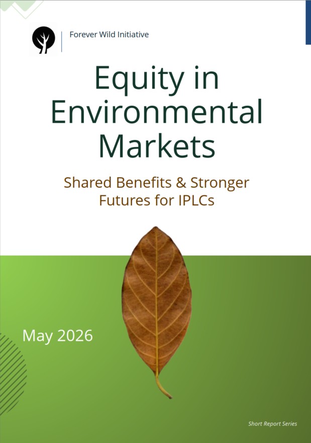Equity in environmental markets